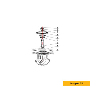 Imagen C5