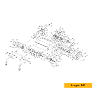 Imagen D01