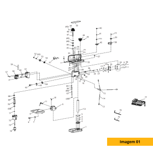 Imagen 01