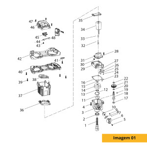 Imagen 01
